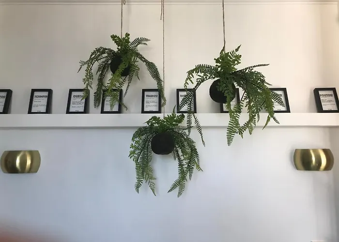 La Loge 45 Au Coeur Du Centre Historique De Rodez