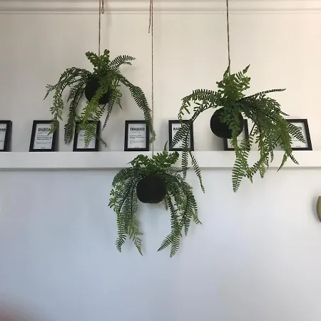 La Loge 45 Au Coeur Du Centre Historique De Rodez