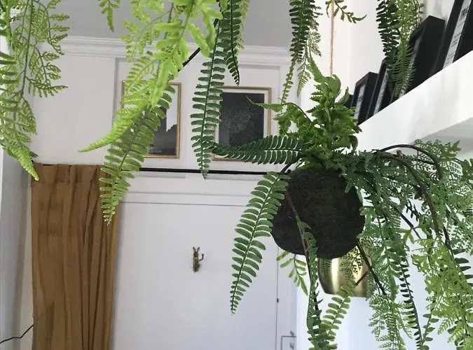 La Loge 45 Au Coeur Du Centre Historique De Rodez